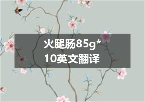 火腿肠85g*10英文翻译