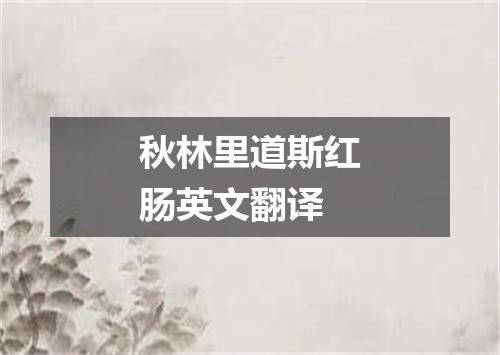 秋林里道斯红肠英文翻译