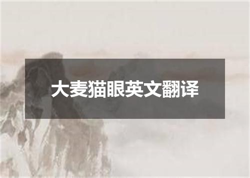 大麦猫眼英文翻译