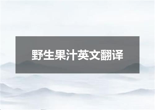 野生果汁英文翻译