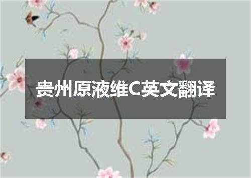 贵州原液维C英文翻译