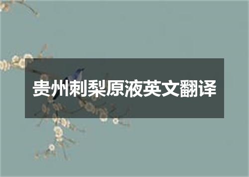 贵州刺梨原液英文翻译