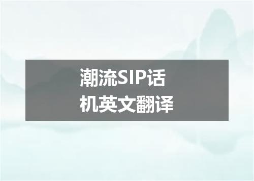 潮流SIP话机英文翻译