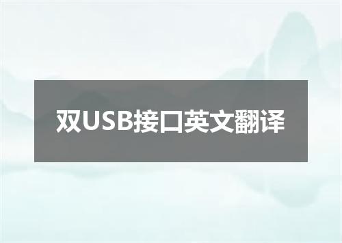双USB接口英文翻译