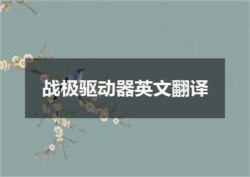 战极驱动器英文翻译
