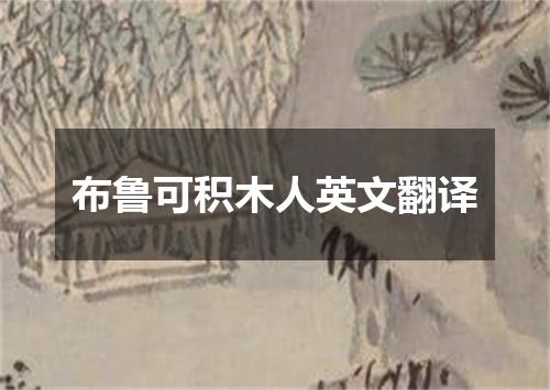 布鲁可积木人英文翻译