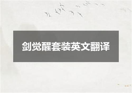 剑觉醒套装英文翻译