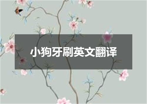 小狗牙刷英文翻译