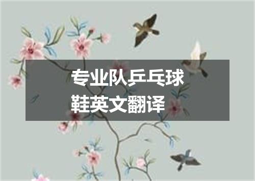 专业队乒乓球鞋英文翻译