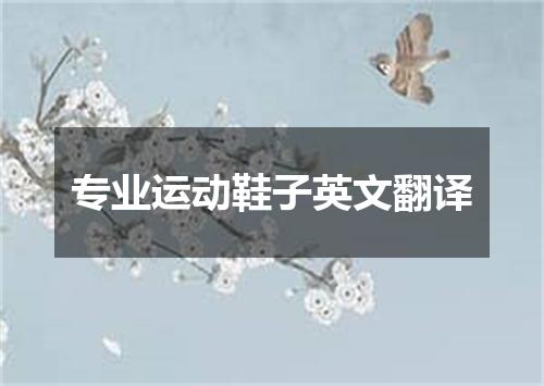 专业运动鞋子英文翻译