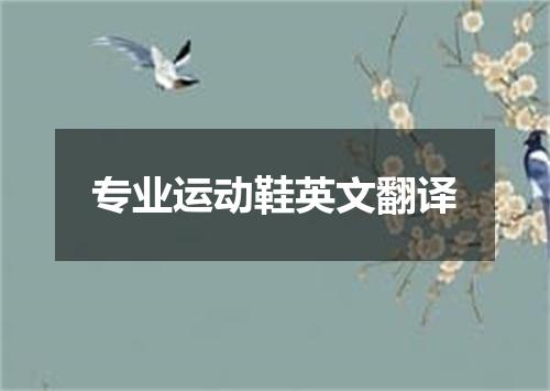 专业运动鞋英文翻译