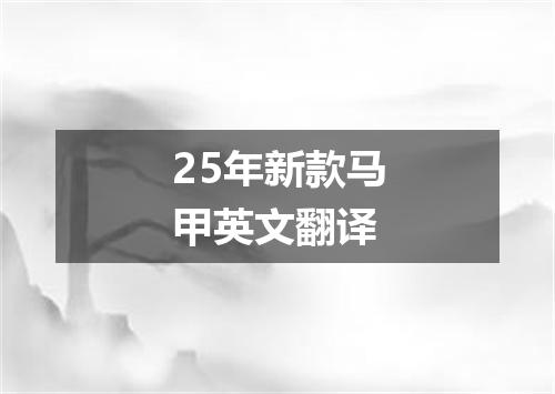 25年新款马甲英文翻译