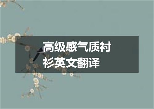 高级感气质衬衫英文翻译