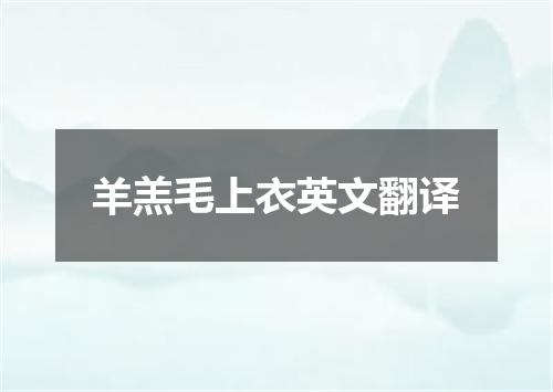 羊羔毛上衣英文翻译