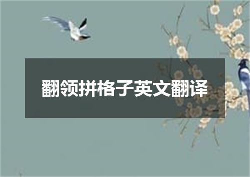 翻领拼格子英文翻译