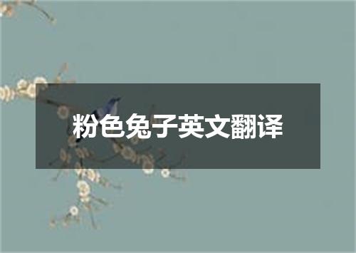 粉色兔子英文翻译