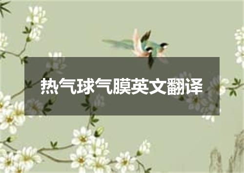 热气球气膜英文翻译