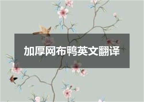 加厚网布鸭英文翻译