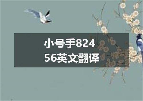 小号手82456英文翻译