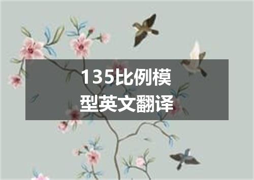 135比例模型英文翻译
