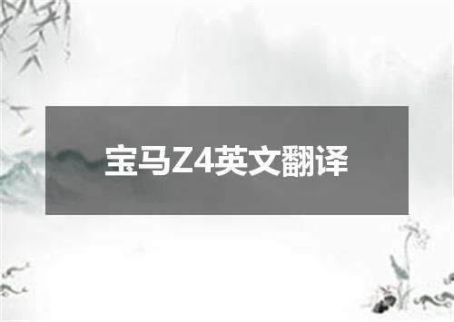 宝马Z4英文翻译