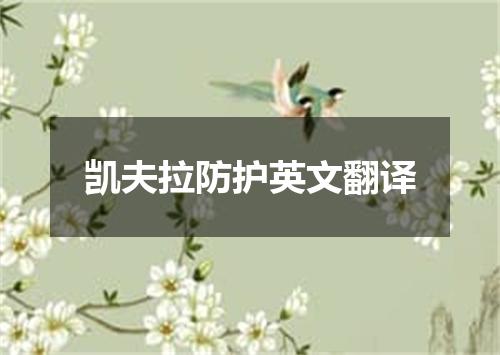 凯夫拉防护英文翻译