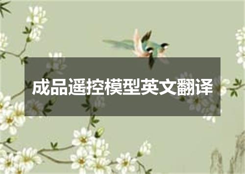 成品遥控模型英文翻译