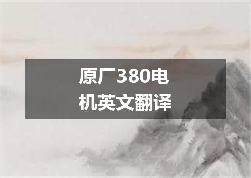 原厂380电机英文翻译
