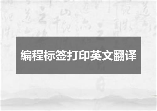 编程标签打印英文翻译