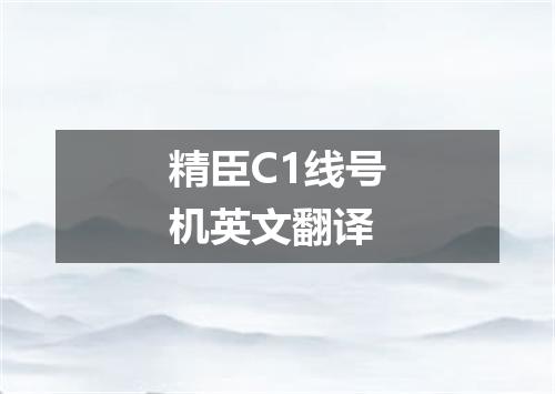 精臣C1线号机英文翻译