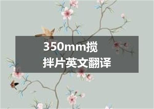 350mm搅拌片英文翻译