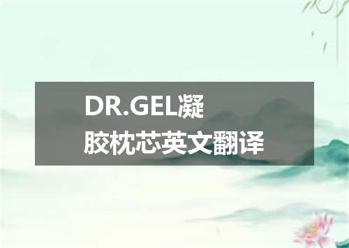 DR.GEL凝胶枕芯英文翻译