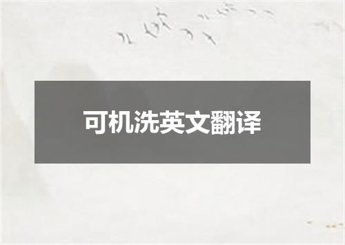 可机洗英文翻译