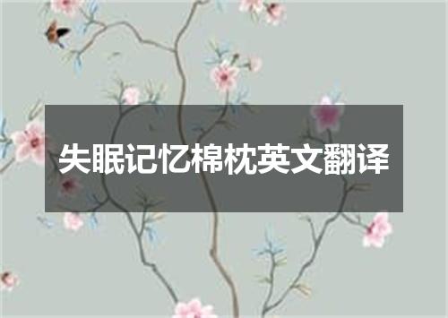 失眠记忆棉枕英文翻译