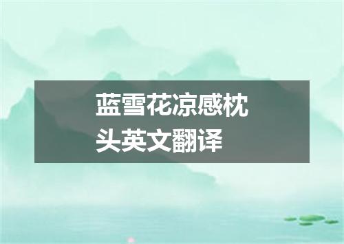 蓝雪花凉感枕头英文翻译