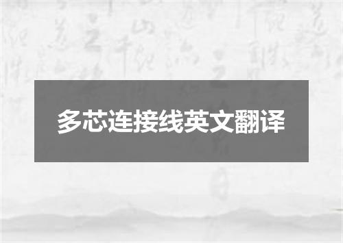 多芯连接线英文翻译