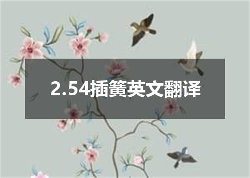 2.54插簧英文翻译
