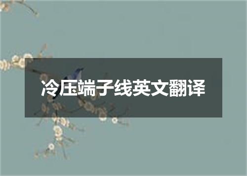 冷压端子线英文翻译