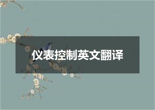 仪表控制英文翻译