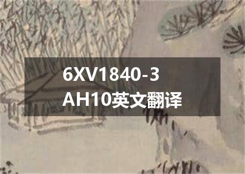 6XV1840-3AH10英文翻译