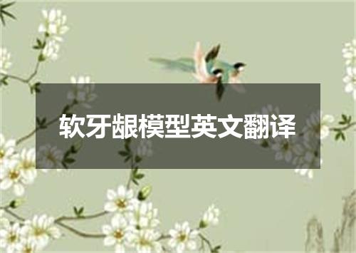 软牙龈模型英文翻译