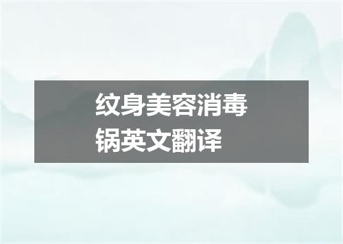 纹身美容消毒锅英文翻译