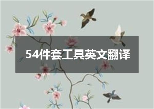 54件套工具英文翻译