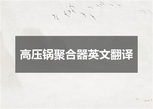 高压锅聚合器英文翻译