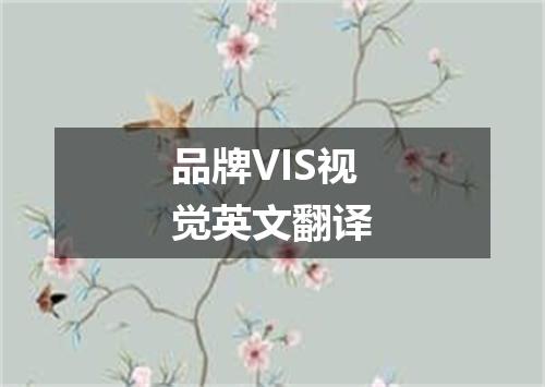 品牌VIS视觉英文翻译