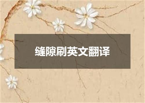 缝隙刷英文翻译