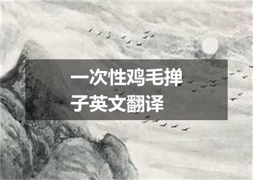 一次性鸡毛掸子英文翻译