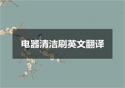 电器清洁刷英文翻译