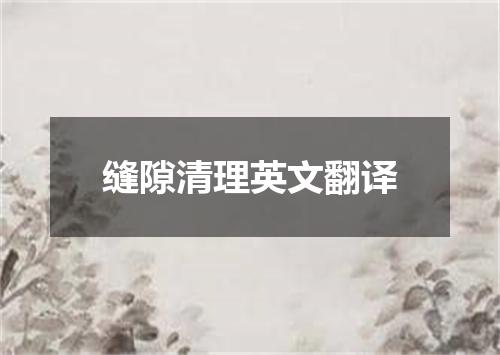 缝隙清理英文翻译