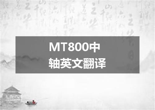 MT800中轴英文翻译